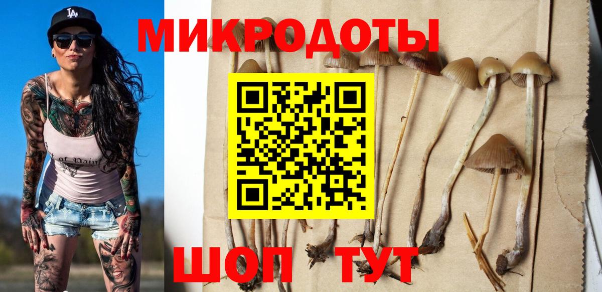Галлюциногенные грибы Magic Shrooms Гудермес