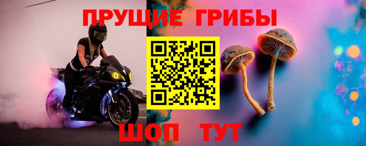 Гудермес  Псилоцибиновые грибы прущие грибы  Вход с VPN 